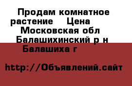 Продам комнатное растение  › Цена ­ 400 - Московская обл., Балашихинский р-н, Балашиха г.  »    